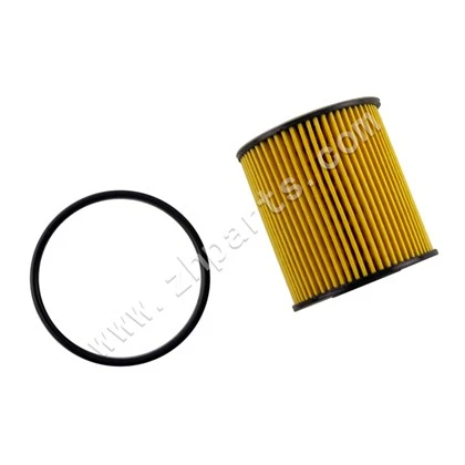 Yağ Filtresi Sertleştirilmiş Filtre 1016051591 Peugeot 206 C-QUATRE İçin