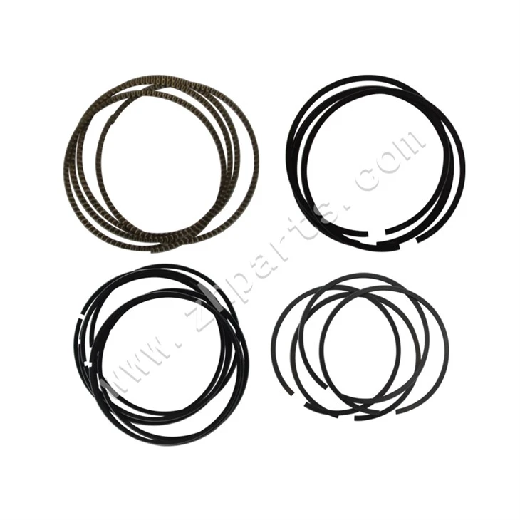 Renault Segmanı79.5mm